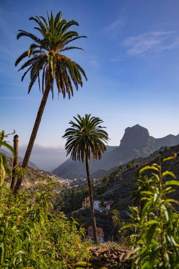 Macayo - Vallehermoso