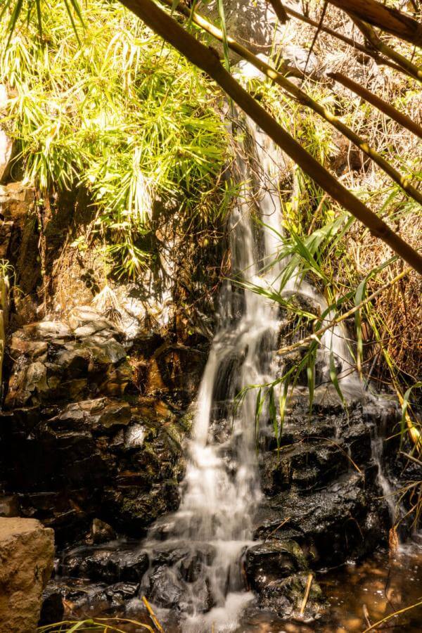 Sendero a la cascada en el barranco de Arure