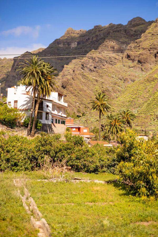Sendero a la cascada en el barranco de Arure