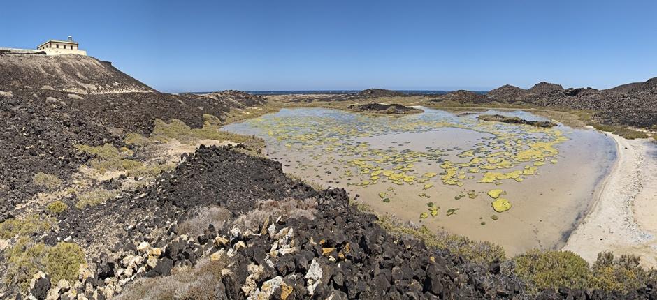 Lobosin saari + Fuerteventuran kävelypolut 