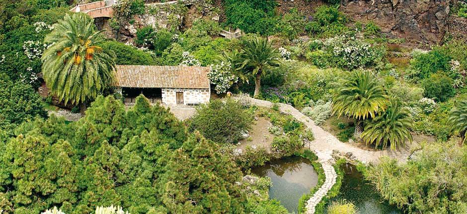 Jardín Botánico Viera y Clavijo Gran Canarian museot ja nähtävyydet