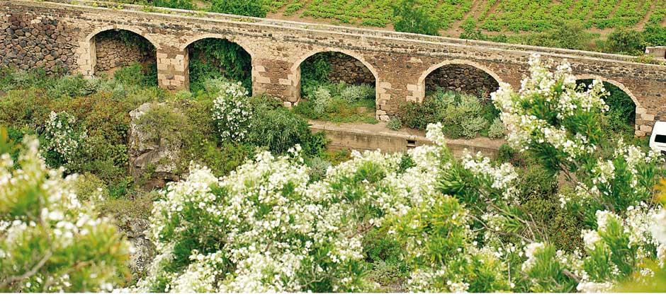 Jardín Botánico Viera y Clavijo Gran Canarian museot ja nähtävyydet