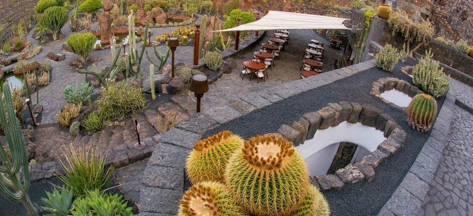 Kaktuspuutarha + Lanzaroten museot ja matkailukeskukset 
