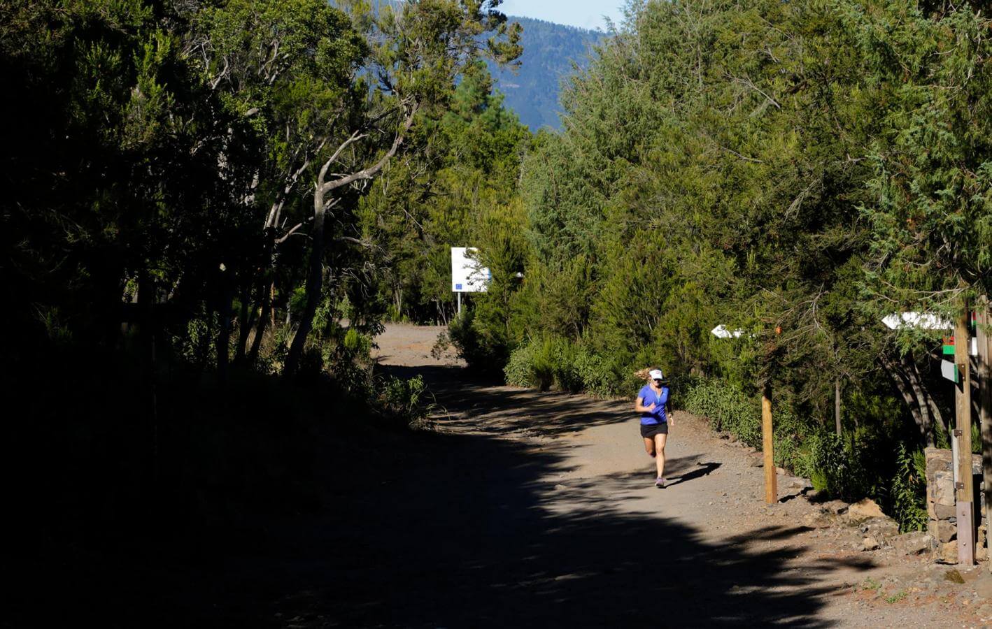 La Orotava-Trail