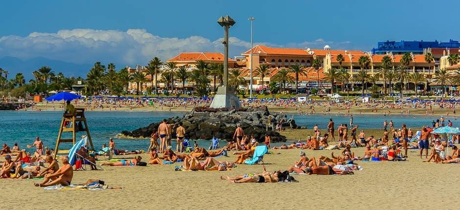 Las Vistas, Teneriffan perherannat