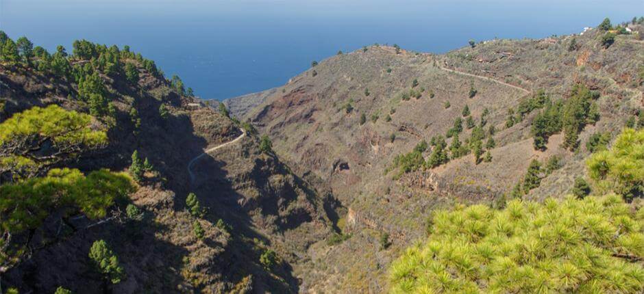Mirador de Izcagua – näköalapaikka La Palmalla