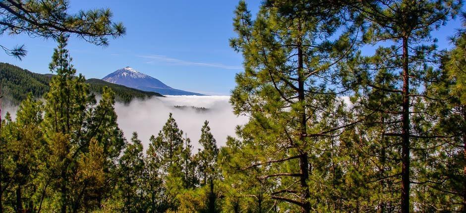 Ortuñon näköalapaikka, Teneriffan näköalapaikat 