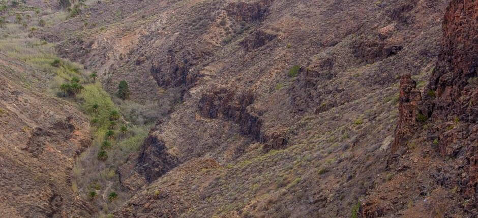 Degollada de las Yeguasin näköalapaikka Gran Canaria