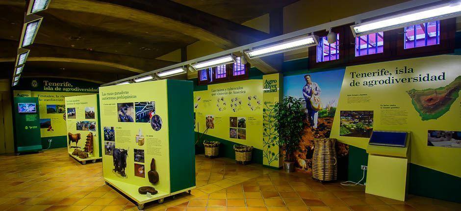 Viini- ja hunajamuseo, Teneriffan museot ja matkailukeskukset