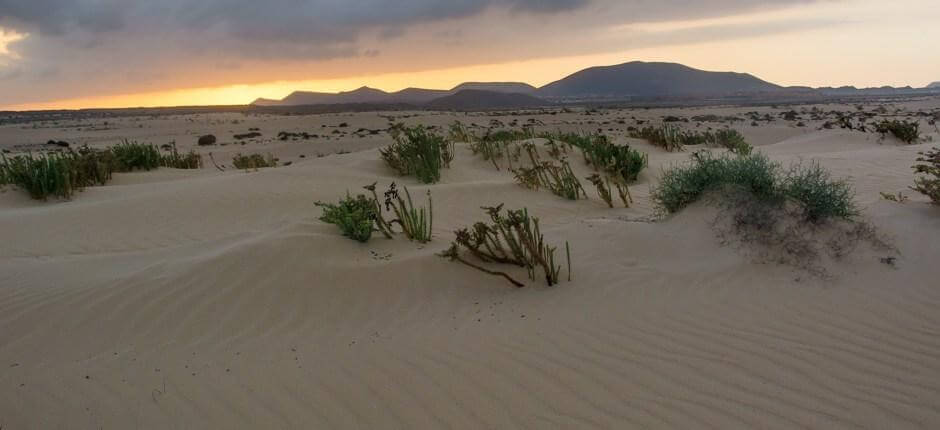 Parque Natural de Corralejo, en Fuerteventura