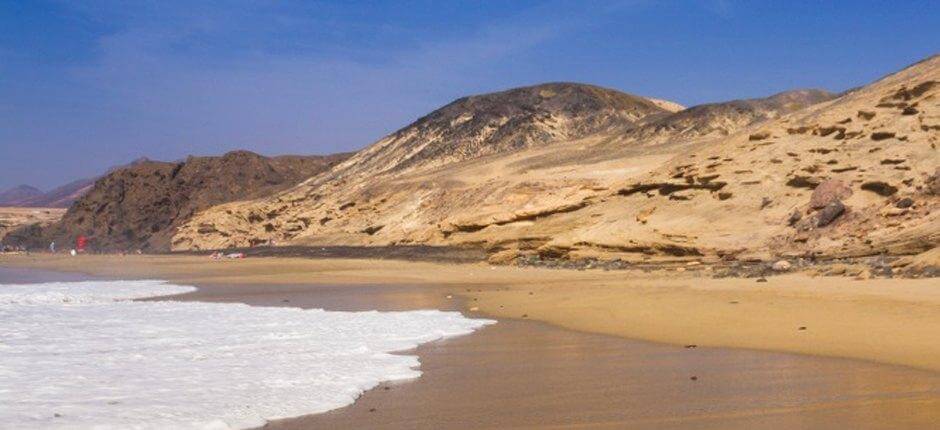 Viejo Reyn ranta + Fuerteventuran luonnonvaraiset rannat 