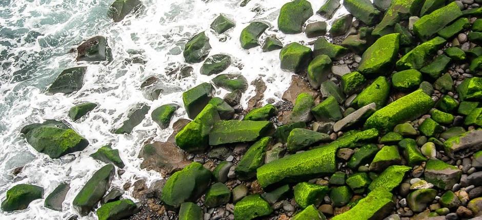 El Anconin ranta + Teneriffan luonnonvaraiset rannat