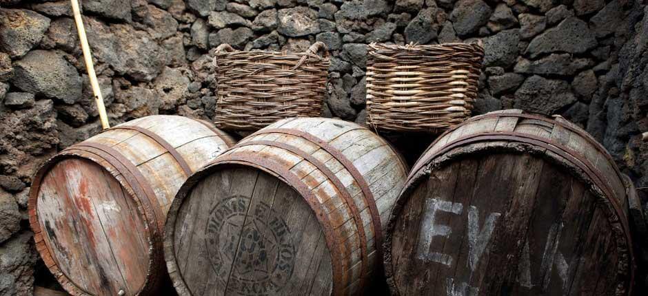 Guinean ekomuseo, El Hierron museot ja matkailukeskukset