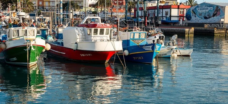 Puerto de Arguineguín, Venesatamat ja satamat Gran Canarialla