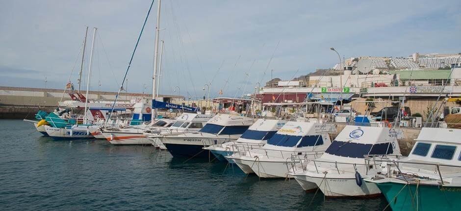 Puerto Rico Marina, venesatamat ja satamat Gran Canarialla