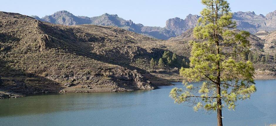 Patikointi Ruta de las Presasissa + Patikointi Gran Canarialla 