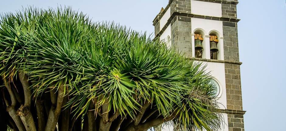 Tegueste, Teneriffan hurmaavat kaupungit