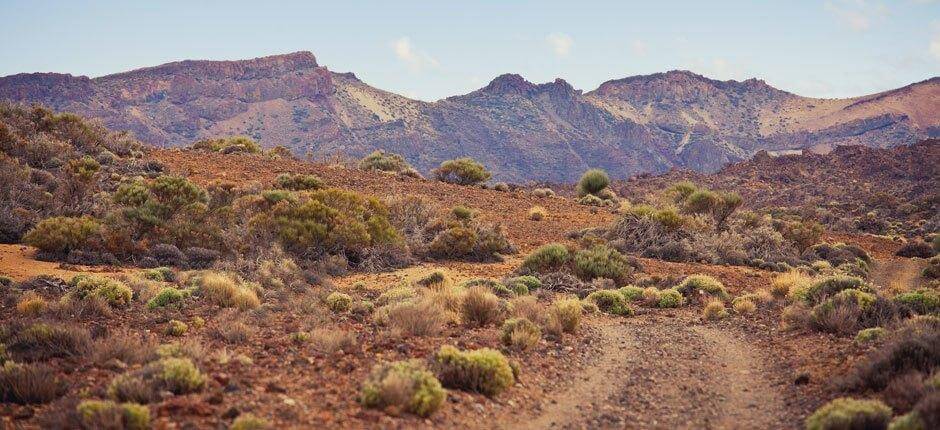 Maastojuoksureitit Teneriffalla, maastojuoksureitit